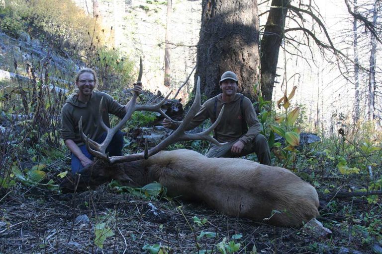 Hunt for Giant Bull Elk at Mackay Bar Ranch