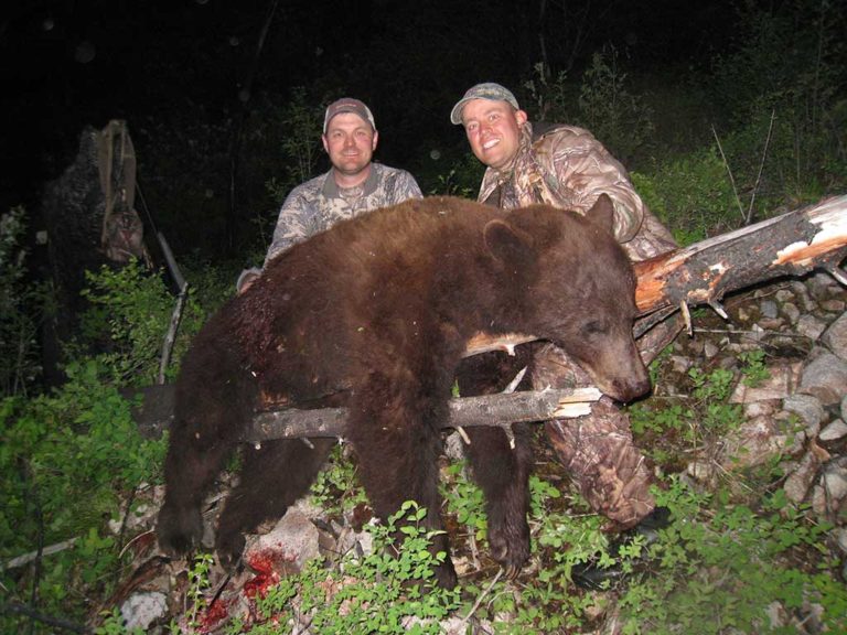 Salmon River Bear Hunts