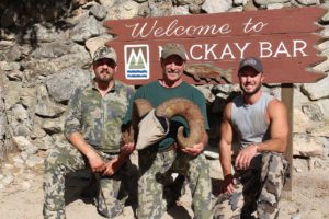 Rocky Mountain Bighorn Sheep Hunts