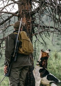 Mackay Bar Ranch Hunting Bear with Hounds