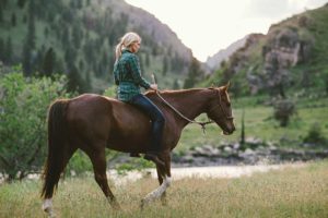 Mackay Bar Ranch Activities