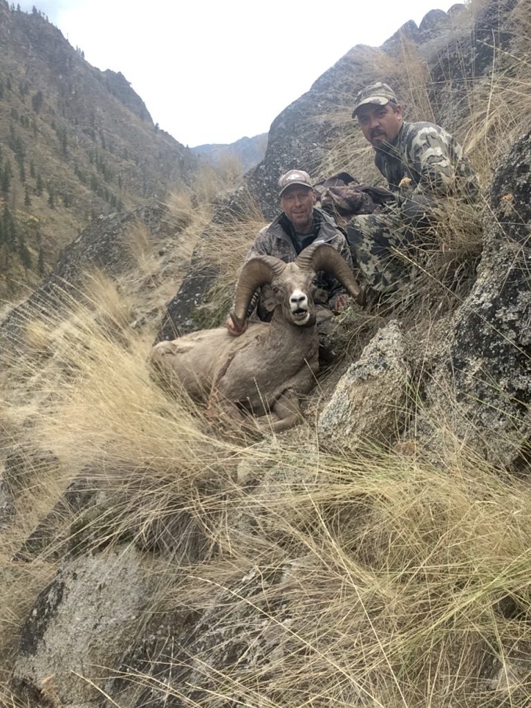 Bighorn Sheep Hunts