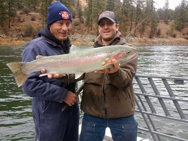 Steelhead Fishing Gallery