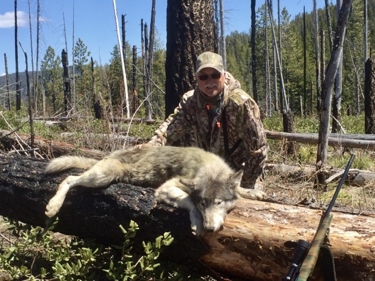 Mackay Bar Outfitters Hunting Gallery