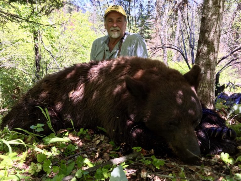 Spring Black Bear Hunts at Mackay Bar Ranch