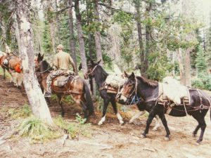 Mackay Bar Ranch - Salmon River Backcountry Venue