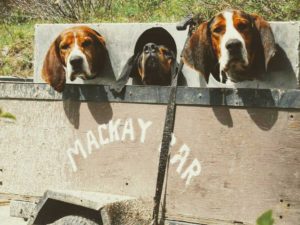 Mackay Bar Ranch - Salmon River Backcountry Venue