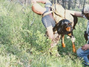 Mackay Bar Ranch - Salmon River Backcountry Venue