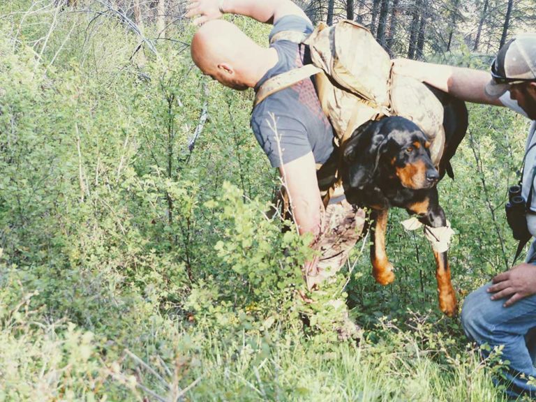 Mackay Bar Ranch - Salmon River Backcountry Venue