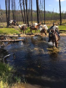 Mackay Bar Outfitters & Guest Ranch