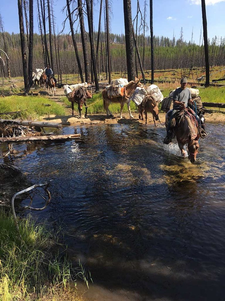 Mackay Bar Outfitters & Guest Ranch