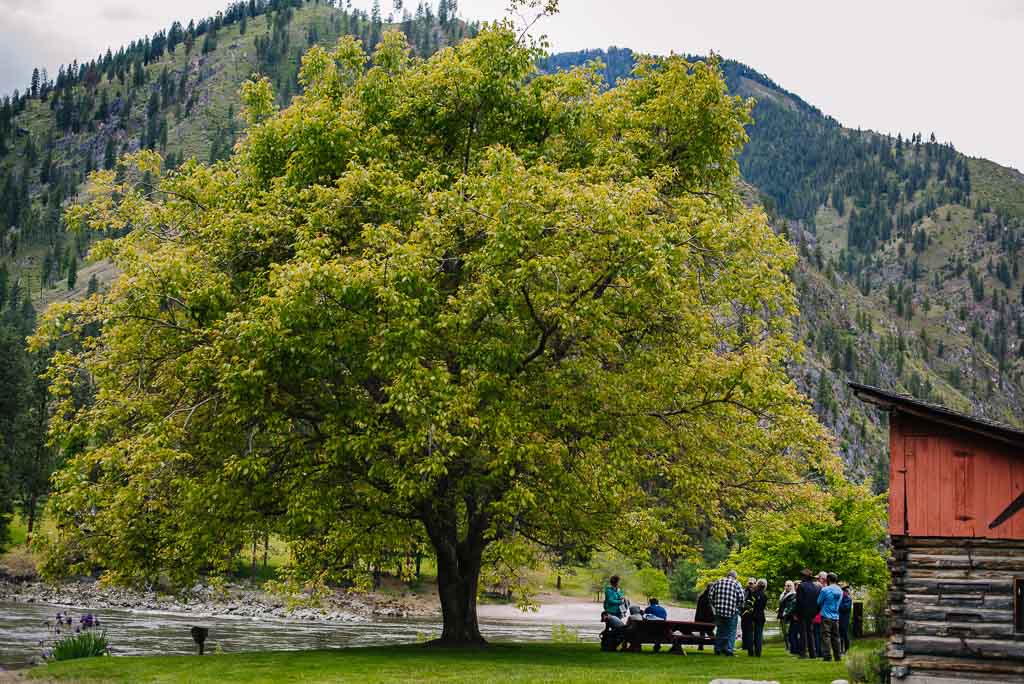 Lodges & Legacies Jet Boat Tour