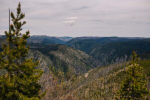 ATV or UTV Salmon River through Dixie