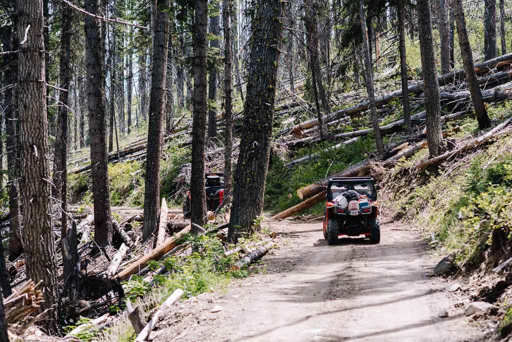 ATV or UTV Salmon River through Dixie