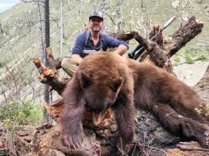 Spring Bear Hunts