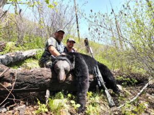 Spring Bear Hunts Photo