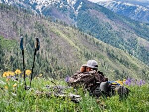 Bear Hunting at Mackay Bar Ranch