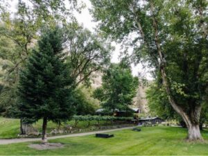 Lawn at Mackay Bar ranch