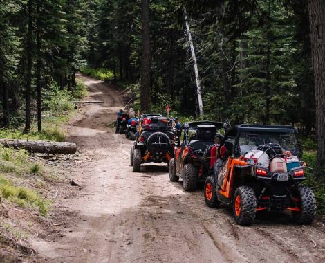 ATV or UTV Salmon River through Dixie