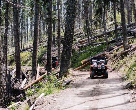 ATV or UTV Salmon River through Dixie